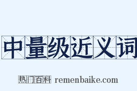 中量级近义词是什么意思的图片